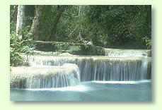Der Wasserbedarf von Zimmerpflanzen ist sehr unterschiedlich. Richtiges Gie�en erfordert Erfahrung