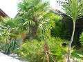 Palmengarten von Fa.Schartner