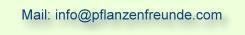 Newsletter zu Pflanzen bestellen
