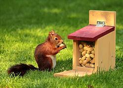 Seite nicht gefunden