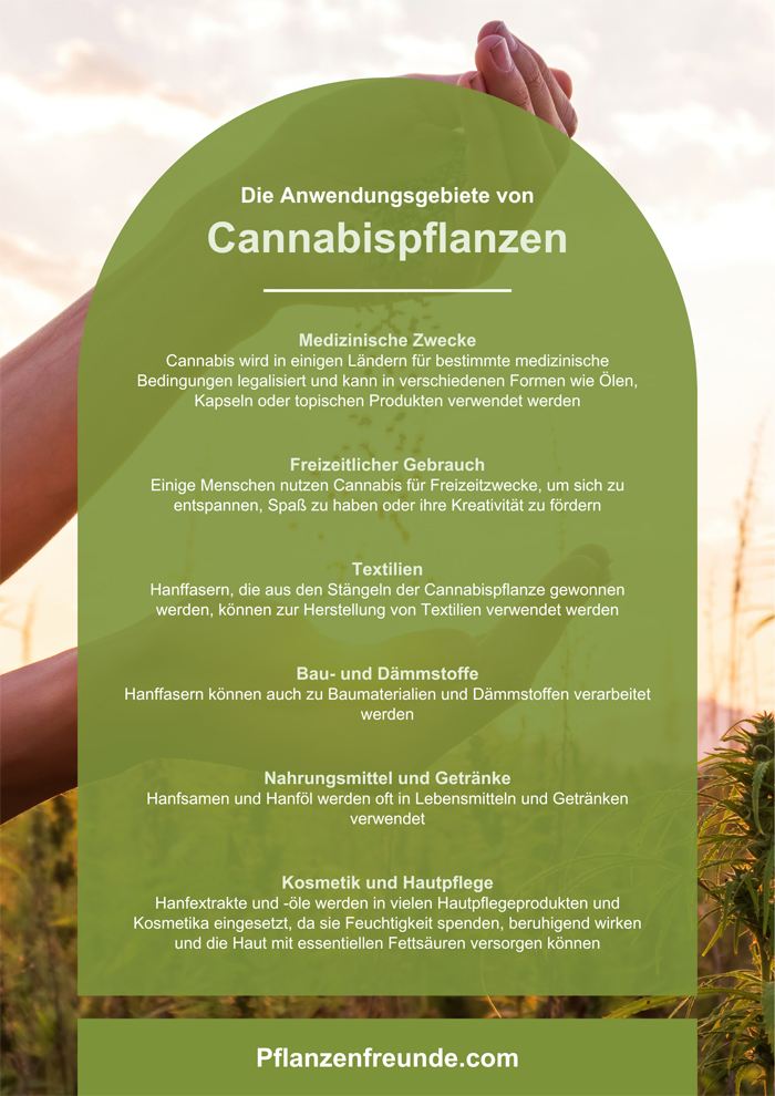Cannabis / Grafik