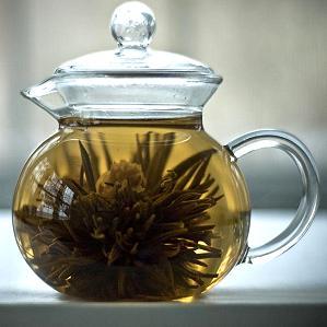 Teekanne mit Heilpflanzen