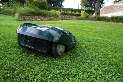 Maehroboter im Einsatz