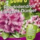 Rhododendron