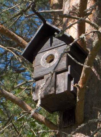 Brutkasten für einen Vogel