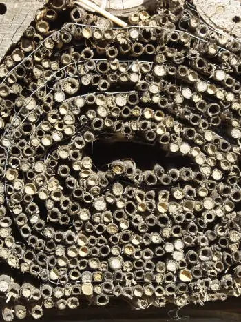 Ein selbstgebautes Insektenhotel