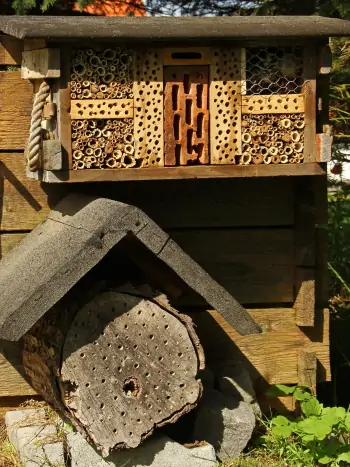 Insektenhotels im Waldviertel