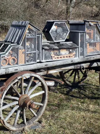 Ein selbstgebautes Insektenhotel
