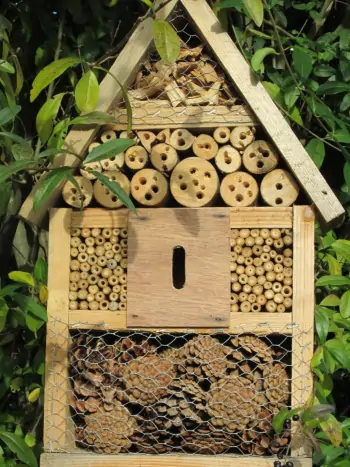 Ein selbstgebautes Insektenhotel