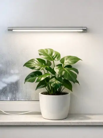 Die richtige Pflanzenbeleuchtung im Winter für gesunde Zimmerpflanzen