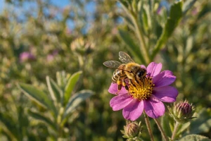 Biene auf einer Blüte im naturnahen Garten