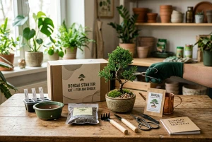 Zeder als Bonsai getrimmt