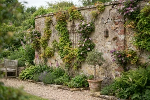 Kletterpflanzen begrünen eine Gartenwand