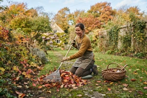 Gartenarbeit im Herbst mit buntem Laub und Rechen