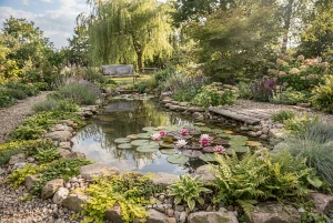 Idyllischer Gartenteich mit Seerosen und umgebender Bepflanzung
