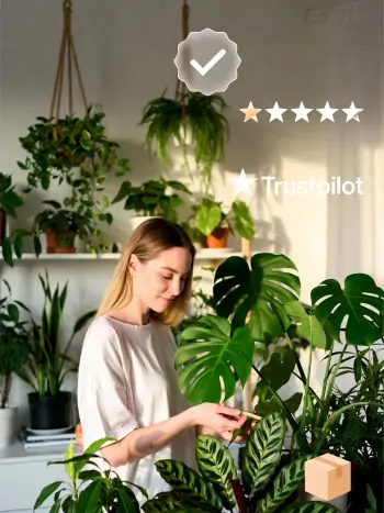 Glückliche Frau in einer wunderschönen grünen Zimmerpflanzen-Oase – erfolgreicher smarter Online-Pflanzenkauf mit gesunden, üppigen Pflanzen
