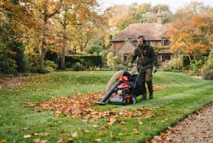 Laubsauger räumt Herbstlaub von einer Rasenfläche