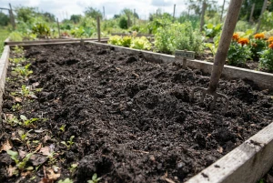 Humusreiche, dunkle Gartenerde in aufgelockertem Beet