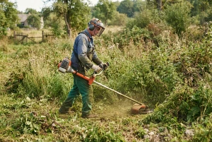 Motorsense im Einsatz gegen verwilderte Wiese und Gestrüpp