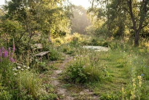 Wild wachsender, naturbelassener Gartenbereich