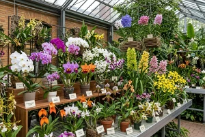 Verschiedene Orchideenarten in einer Sammlung