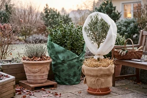 Gartenpflanzen mit Winterschutz