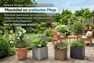 Pflanzkübel auf einer Terrasse