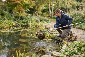 Gartenteich wird mit einem Kescher von Laub und Schmutz befreit