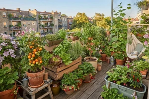 Üppig bepflanzter Stadtbalkon mit Obst und Gemüse in Kübeln