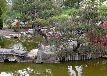 Gartenteich im asiatischen Stil