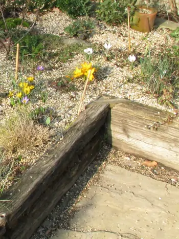 Blumenbeet mit Einfassung aus Holz