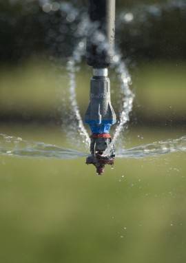 Sprinkler zur Bewässerung