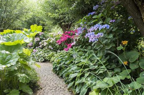 Cottage Garten - Zum vergrößern klicken Pflegeleichter Cottage Garten