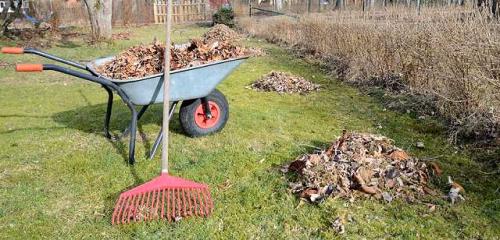 Säubern des Gartens im Frühling