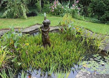 Gartenteich bepflanzen