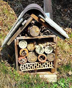 Insektenhaus