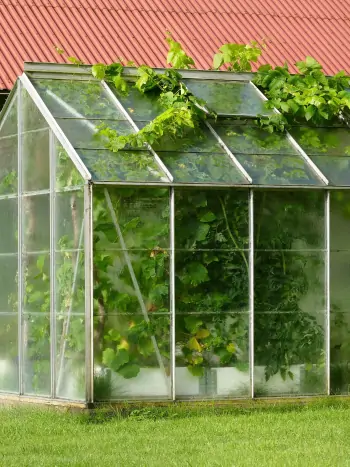 Gewächshaus zur Überwinterung empfindlicher Pflanzen