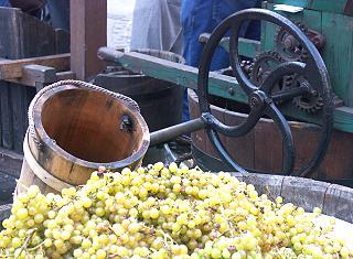 Obstpresse