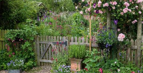 Ein pflegeleichtes Gartenparadies