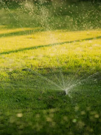 Der ideale Zeitpunkt den Rasen zu bewässern - Zum vergrößern klicken Der ideale Zeitpunkt den Rasen zu bewässern