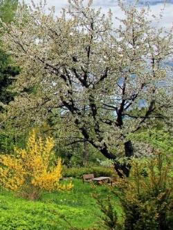 Eigene Gartengestaltung