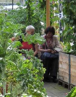 Urban Gardening in Bremen