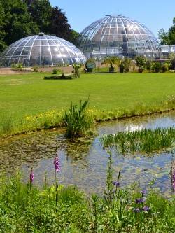 Botanischer Garten