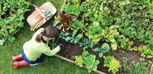 Welche Gartenkleidung benutzen?